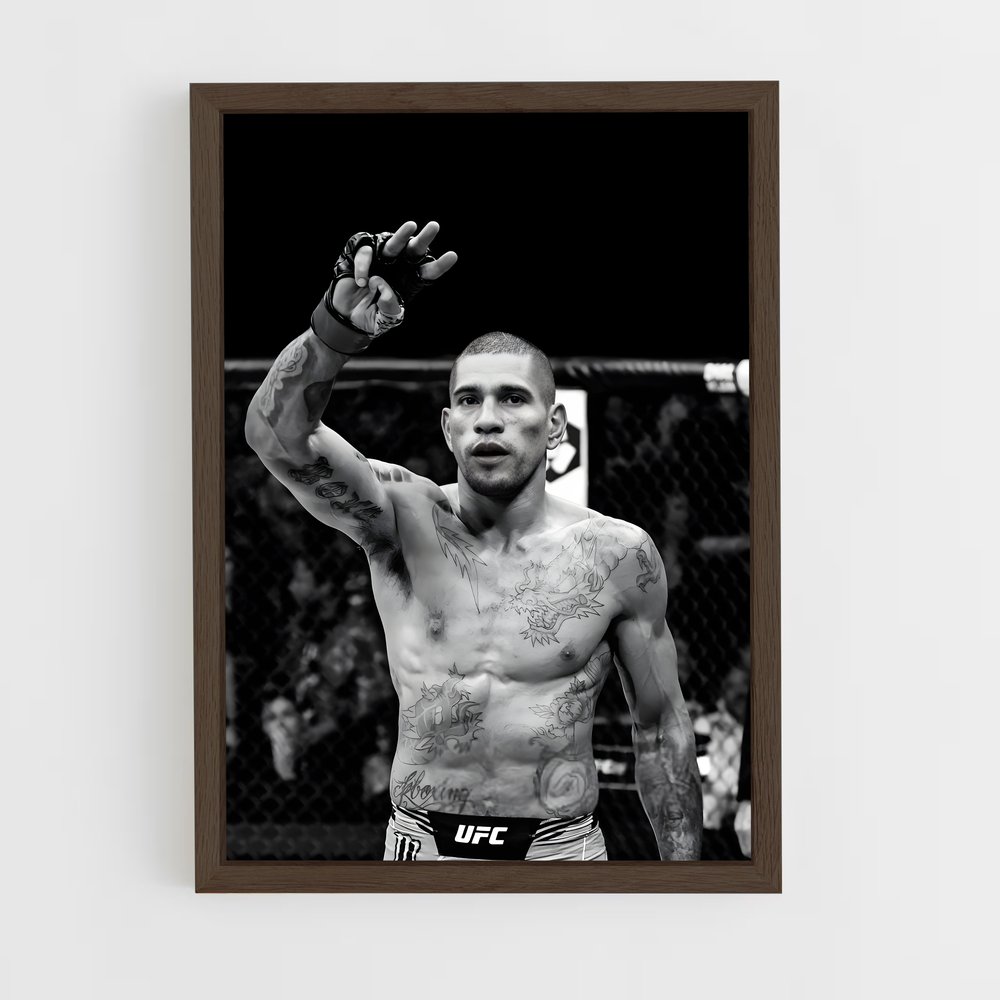 Poster Art de Guerre – affiche MMA (vue 5)